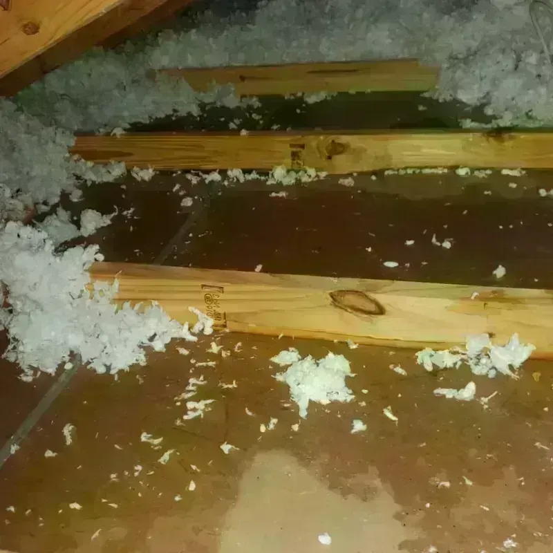 Attic Water Damage in Saint Simon Mills, GA